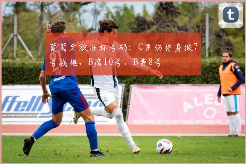 葡萄牙欧洲杯号码：C罗仍将身披7号战袍，B席10号、B费8号
