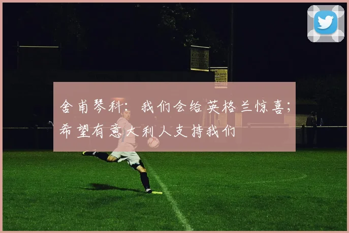 舍甫琴科：我们会给英格兰惊喜；希望有意大利人支持我们